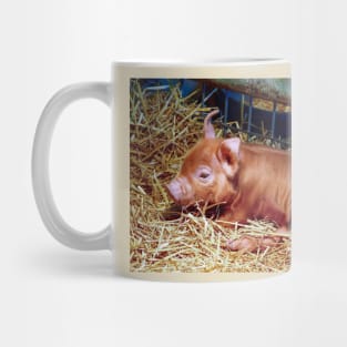 Sleepy Brown-Spotted Piglet Mug